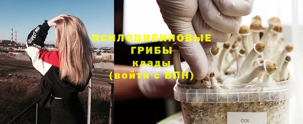 дживик Куйбышев