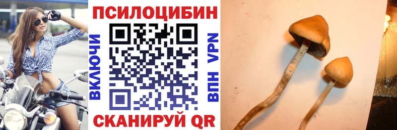Галлюциногенные грибы GOLDEN TEACHER  Узловая 